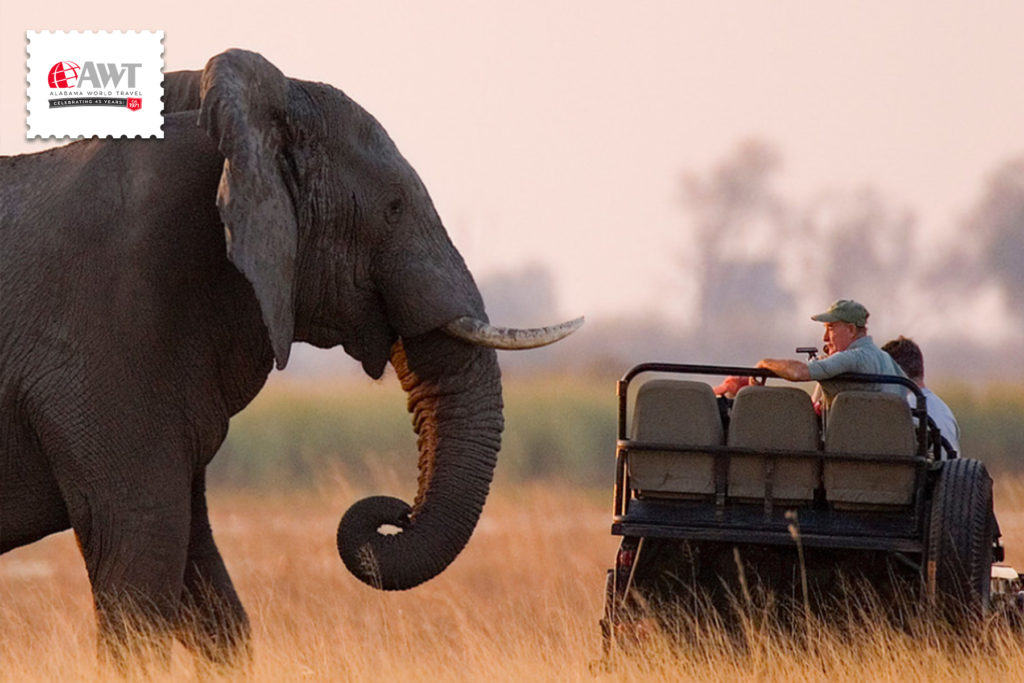 Africa Postcard