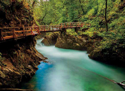 Charming Slovenia
